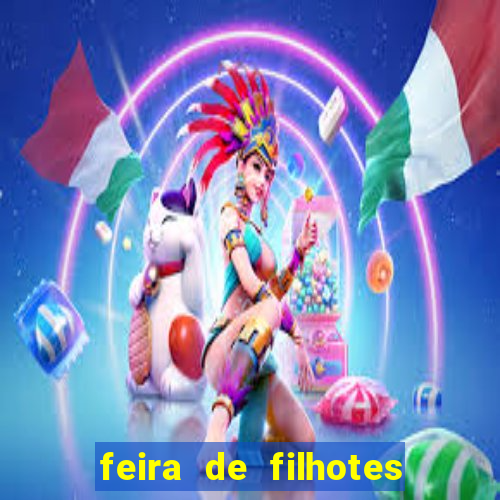 feira de filhotes porto alegre